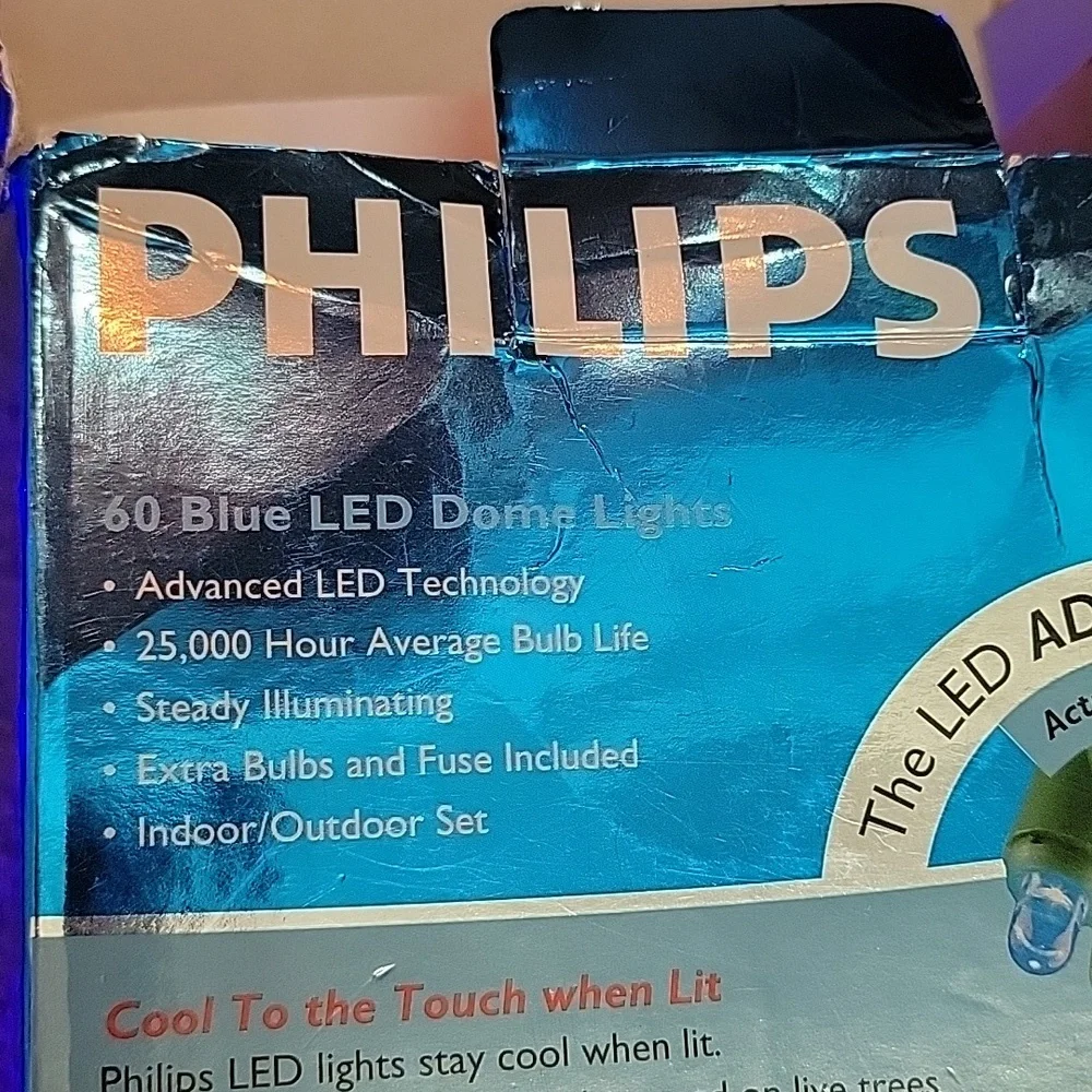 PHILIPS 60 LED Indoor/Outdoor Light Set - Dome Blue